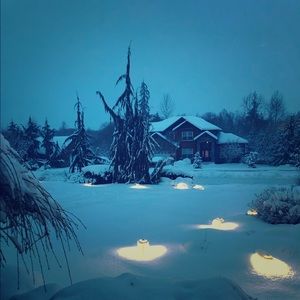 Meet your Posher, Antoinette